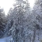 Terrasse Des Alpes.32 Apartment Crans-Montana