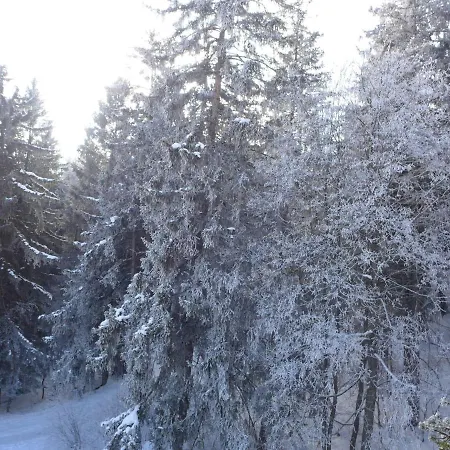 Terrasse Des Alpes.32 Διαμέρισμα Κρανς Μοντάνα