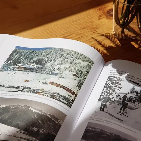 Terrasse Des Alpes.32 Διαμέρισμα *