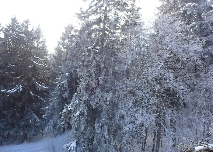 Terrasse Des Alpes.32 Apartment Crans-Montana